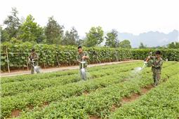 Xây dựng ngành hậu cần đơn vị vững mạnh toàn diện